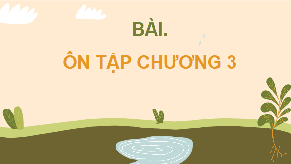 Giáo án điện tử Sinh 11 Cánh diều Ôn tập chủ đề 3 | PPT Sinh học 11