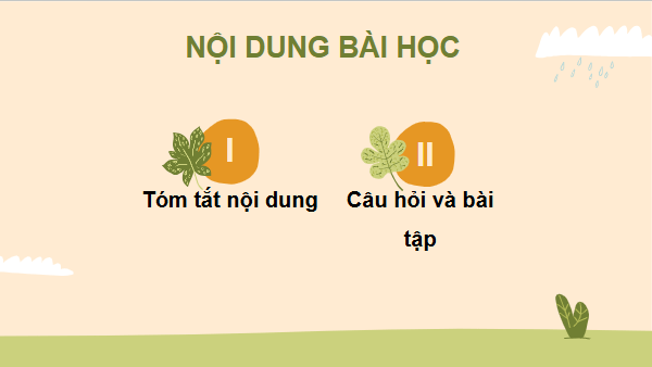 Giáo án điện tử Sinh 11 Cánh diều Ôn tập chủ đề 3 | PPT Sinh học 11