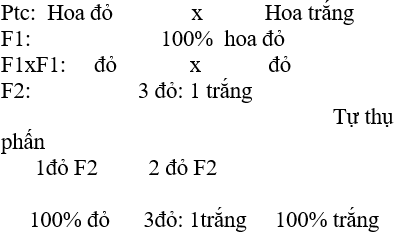 Giáo án Sinh học 12 Bài 8: Quy luật Menđen: Quy luật phân li | Giáo án Sinh học 12 mới, chuẩn nhất