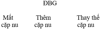 Giáo án Sinh học 12 Bài tập chương 1 | Giáo án Sinh học 12 mới, chuẩn nhất