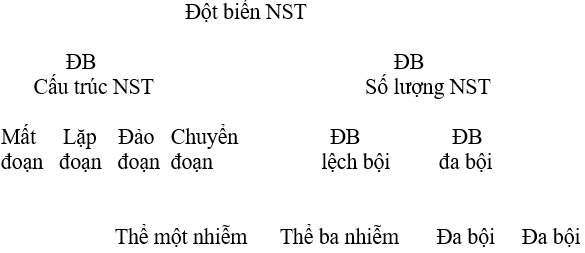 Giáo án Sinh học 12 Bài tập chương 1 | Giáo án Sinh học 12 mới, chuẩn nhất