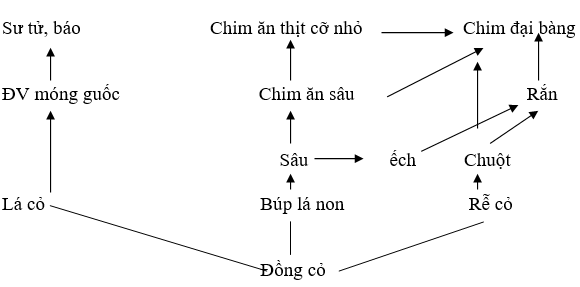 Giáo án Sinh học 12 Bài tập phần Sinh thái học | Giáo án Sinh học 12 mới, chuẩn nhất