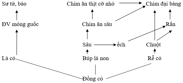 Giáo án Sinh học 12 Bài tập phần Sinh thái học (tiết 2) | Giáo án Sinh học 12 mới, chuẩn nhất