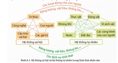 Giáo án Chuyên đề Sinh học 12 Kết nối tri thức Bài 8: Khái niệm và giá trị của sinh thái nhân văn trong phát triển bền vững