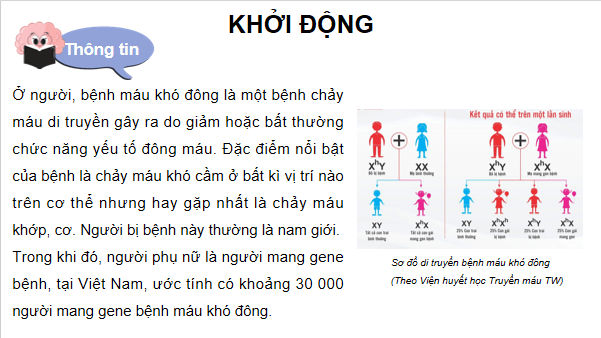 Giáo án điện tử Sinh 12 Kết nối tri thức Bài 10: Di truyền giới tính và di truyền liên kết với giới tính | PPT Sinh học 12