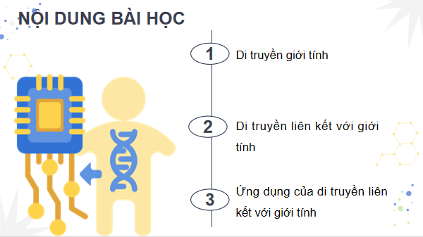 Giáo án điện tử Sinh 12 Kết nối tri thức Bài 10: Di truyền giới tính và di truyền liên kết với giới tính | PPT Sinh học 12