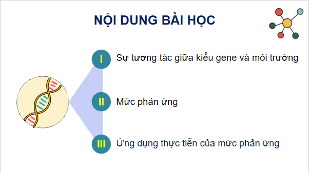 Giáo án điện tử Sinh 12 Chân trời sáng tạo Bài 10: Mối quan hệ giữa kiểu gene - kiểu hình - môi trường | PPT Sinh học 12
