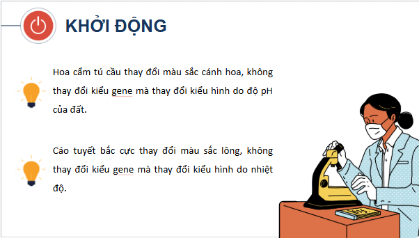 Giáo án điện tử Sinh 12 Cánh diều Bài 10: Mối quan hệ giữa kiểu gene, môi trường và kiểu hình | PPT Sinh học 12