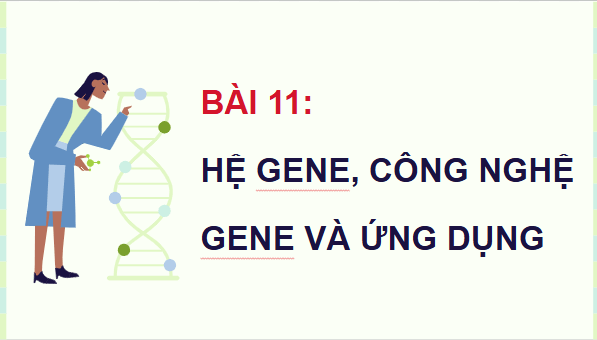 Giáo án điện tử Sinh 12 Cánh diều Bài 11: Hệ gene, công nghệ gene và ứng dụng | PPT Sinh học 12