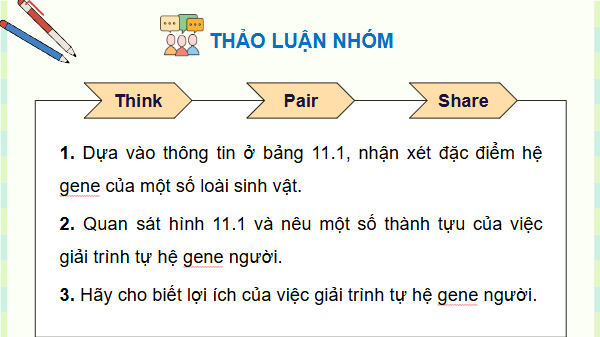 Giáo án điện tử Sinh 12 Cánh diều Bài 11: Hệ gene, công nghệ gene và ứng dụng | PPT Sinh học 12