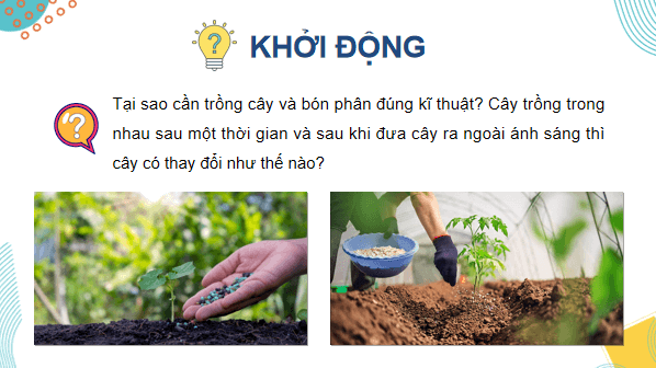 Giáo án điện tử Sinh 12 Chân trời sáng tạo Bài 11: Thực hành: Thí nghiệm về thường biển ở cây trồng | PPT Sinh học 12