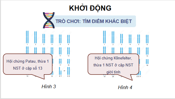 Giáo án điện tử Sinh 12 Kết nối tri thức Bài 12: Đột biến nhiễm sắc thể | PPT Sinh học 12