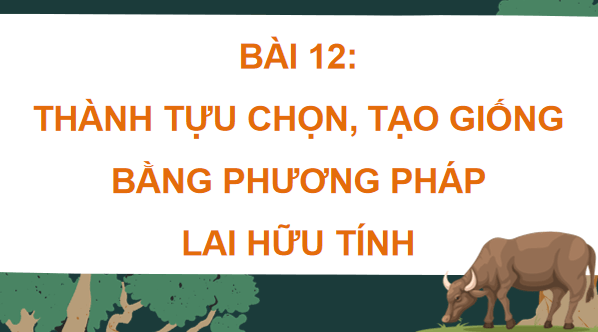 Giáo án điện tử Sinh 12 Chân trời sáng tạo Bài 12: Thành tựu chọn, tạo giống bằng phương pháp lai hữu tính | PPT Sinh học 12