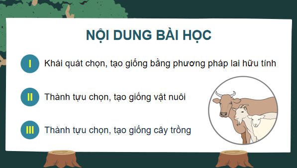 Giáo án điện tử Sinh 12 Chân trời sáng tạo Bài 12: Thành tựu chọn, tạo giống bằng phương pháp lai hữu tính | PPT Sinh học 12