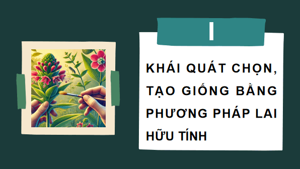 Giáo án điện tử Sinh 12 Chân trời sáng tạo Bài 12: Thành tựu chọn, tạo giống bằng phương pháp lai hữu tính | PPT Sinh học 12