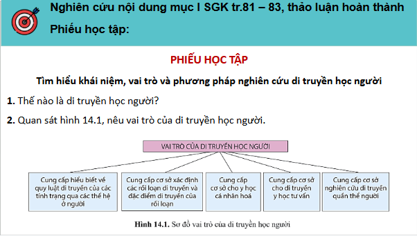 Giáo án điện tử Sinh 12 Cánh diều Bài 14: Di truyền học người | PPT Sinh học 12