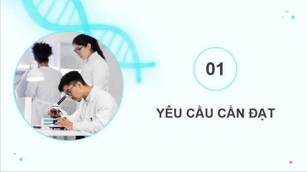 Giáo án điện tử Sinh 12 Kết nối tri thức Bài 14: Thực hành: Quan sát một số dạng đột biến nhiễm sắc thể | PPT Sinh học 12