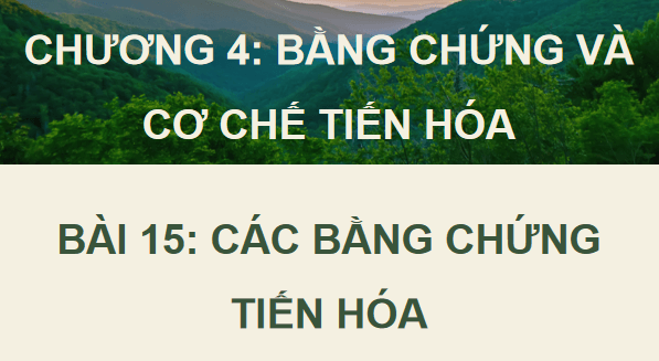 Giáo án điện tử Sinh 12 Chân trời sáng tạo Bài 15: Các bằng chứng tiến hoá | PPT Sinh học 12