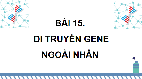 Giáo án điện tử Sinh 12 Kết nối tri thức Bài 15: Di truyền gene ngoài nhân | PPT Sinh học 12