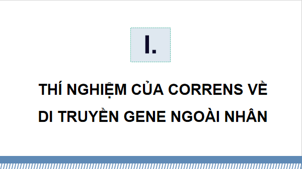 Giáo án điện tử Sinh 12 Kết nối tri thức Bài 15: Di truyền gene ngoài nhân | PPT Sinh học 12