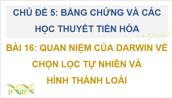 Giáo án điện tử Sinh 12 Cánh diều Bài 16: Quan niệm của Darwin về chọn lọc tự nhiên và hình thành loài | PPT Sinh học 12