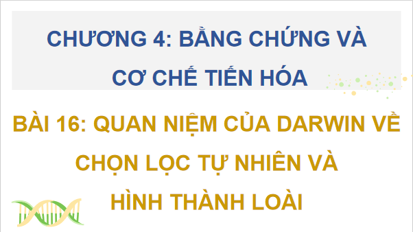 Giáo án điện tử Sinh 12 Chân trời sáng tạo Bài 16: Quan niệm của Darwin về chọn lọc tự nhiên và hình thành loài | PPT Sinh học 12