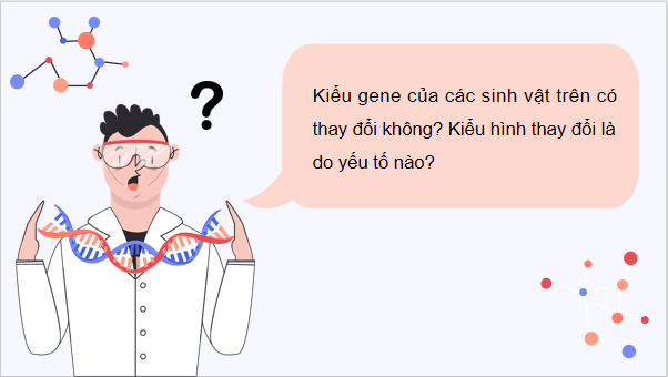 Giáo án điện tử Sinh 12 Kết nối tri thức Bài 16: Tương tác giữa kiểu gene với môi trường và thành tựu chọn giống | PPT Sinh học 12
