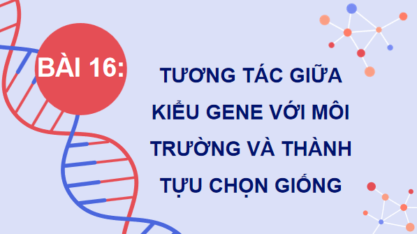 Giáo án điện tử Sinh 12 Kết nối tri thức Bài 16: Tương tác giữa kiểu gene với môi trường và thành tựu chọn giống | PPT Sinh học 12