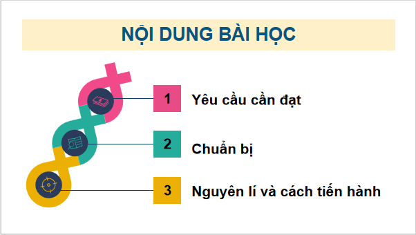 Giáo án điện tử Sinh 12 Kết nối tri thức Bài 17: Thực hành: Thí nghiệm về thường biến ở cây trồng | PPT Sinh học 12