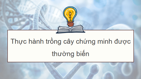 Giáo án điện tử Sinh 12 Kết nối tri thức Bài 17: Thực hành: Thí nghiệm về thường biến ở cây trồng | PPT Sinh học 12