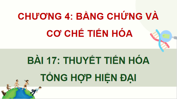 Giáo án điện tử Sinh 12 Chân trời sáng tạo Bài 17: Thuyết tiến hoá tổng hợp hiện đại | PPT Sinh học 12