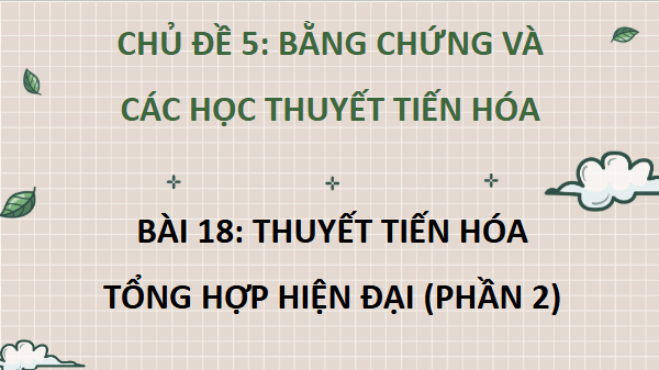 Giáo án điện tử Sinh 12 Cánh diều Bài 18: Thuyết tiến hóa tổng hợp hiện đại (Phần 2) | PPT Sinh học 12