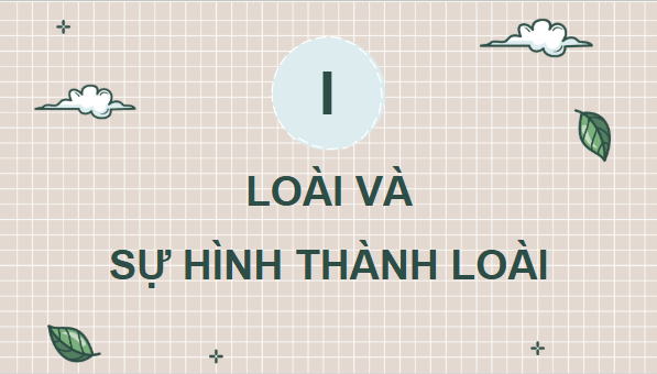 Giáo án điện tử Sinh 12 Cánh diều Bài 18: Thuyết tiến hóa tổng hợp hiện đại (Phần 2) | PPT Sinh học 12