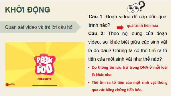 Giáo án điện tử Sinh 12 Kết nối tri thức Bài 19: Các bằng chứng tiến hoá | PPT Sinh học 12