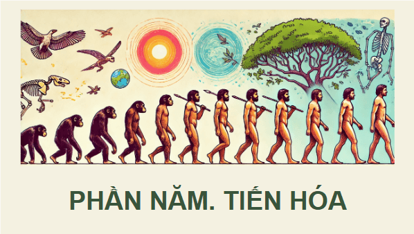 Giáo án điện tử Sinh 12 Kết nối tri thức Bài 19: Các bằng chứng tiến hoá | PPT Sinh học 12