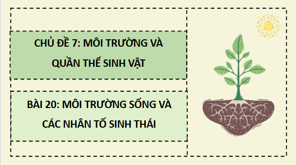 Giáo án điện tử Sinh 12 Cánh diều Bài 20: Môi trường sống và các nhân tố sinh thái | PPT Sinh học 12