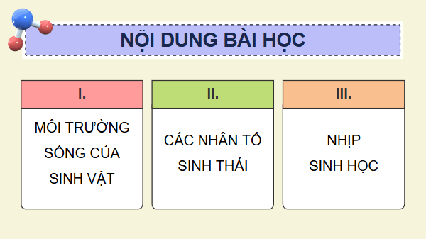Giáo án điện tử Sinh 12 Cánh diều Bài 20: Môi trường sống và các nhân tố sinh thái | PPT Sinh học 12