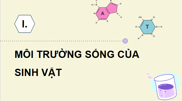 Giáo án điện tử Sinh 12 Cánh diều Bài 20: Môi trường sống và các nhân tố sinh thái | PPT Sinh học 12