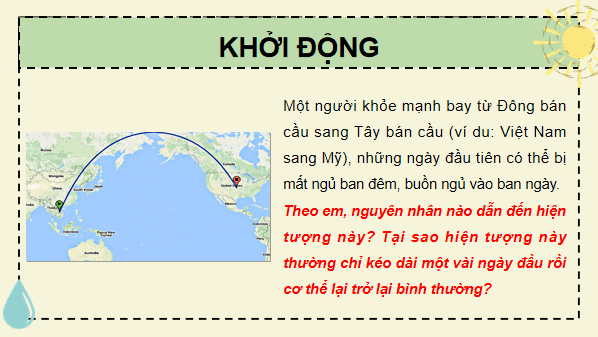 Giáo án điện tử Sinh 12 Chân trời sáng tạo Bài 20: Môi trường và các nhân tố sinh thái | PPT Sinh học 12
