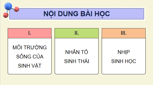 Giáo án điện tử Sinh 12 Chân trời sáng tạo Bài 20: Môi trường và các nhân tố sinh thái | PPT Sinh học 12