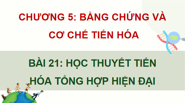 Giáo án điện tử Sinh 12 Kết nối tri thức Bài 21: Học thuyết tiến hoá tổng hợp hiện đại | PPT Sinh học 12