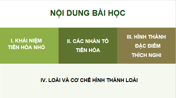 Giáo án điện tử Sinh 12 Kết nối tri thức Bài 21: Học thuyết tiến hoá tổng hợp hiện đại | PPT Sinh học 12