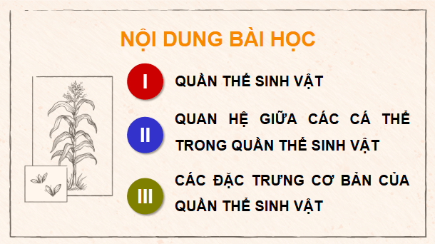 Giáo án điện tử Sinh 12 Cánh diều Bài 21: Sinh thái học quần thể | PPT Sinh học 12
