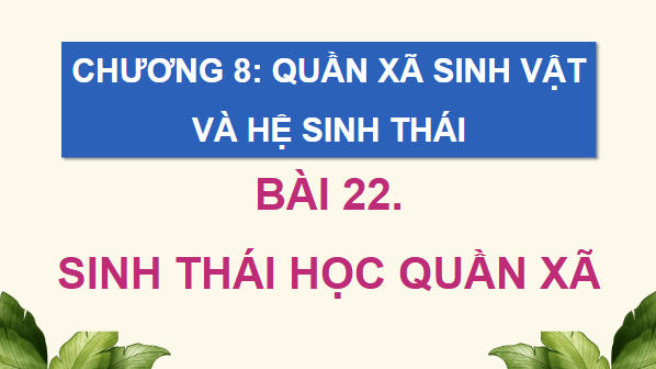 Giáo án điện tử Sinh 12 Cánh diều Bài 22: Sinh thái học quần xã | PPT Sinh học 12
