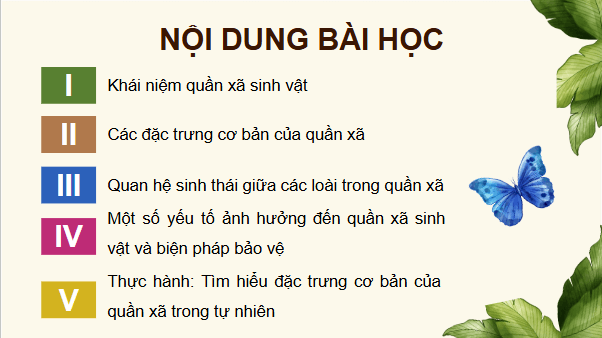 Giáo án điện tử Sinh 12 Cánh diều Bài 22: Sinh thái học quần xã | PPT Sinh học 12
