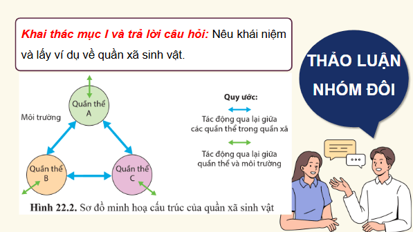 Giáo án điện tử Sinh 12 Cánh diều Bài 22: Sinh thái học quần xã | PPT Sinh học 12