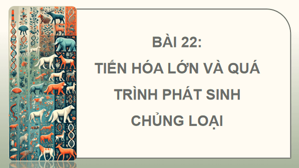 Giáo án điện tử Sinh 12 Kết nối tri thức Bài 22: Tiến hoá lớn và quá trình phát sinh chủng loại | PPT Sinh học 12