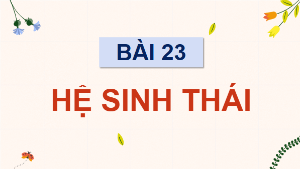 Giáo án điện tử Sinh 12 Cánh diều Bài 23: Hệ sinh thái | PPT Sinh học 12