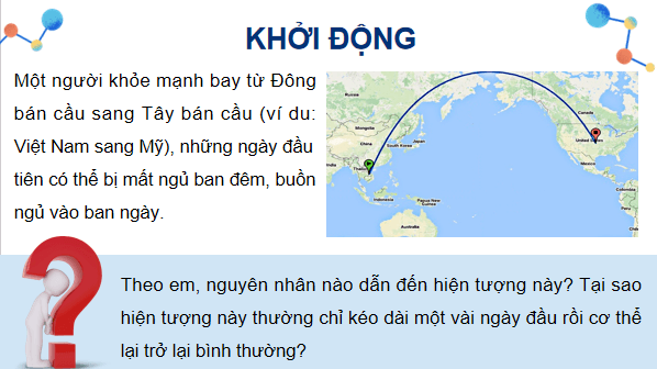 Giáo án điện tử Sinh 12 Kết nối tri thức Bài 23: Môi trường và các nhân tố sinh thái | PPT Sinh học 12