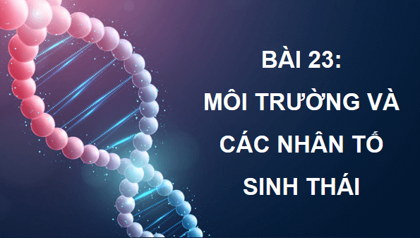 Giáo án điện tử Sinh 12 Kết nối tri thức Bài 23: Môi trường và các nhân tố sinh thái | PPT Sinh học 12